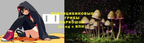 PSILOCYBIN Белокуриха
