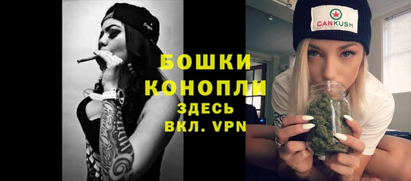 PSILOCYBIN Белокуриха