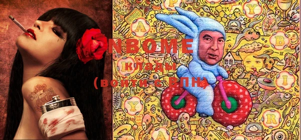 PSILOCYBIN Белокуриха