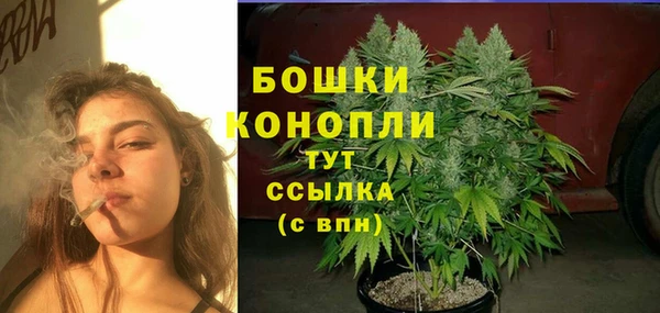 PSILOCYBIN Белокуриха