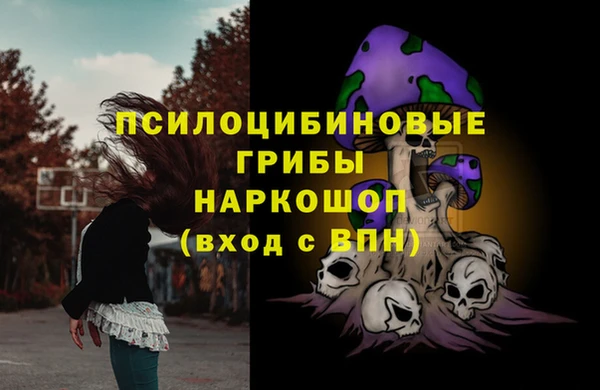 прущая мука Богданович