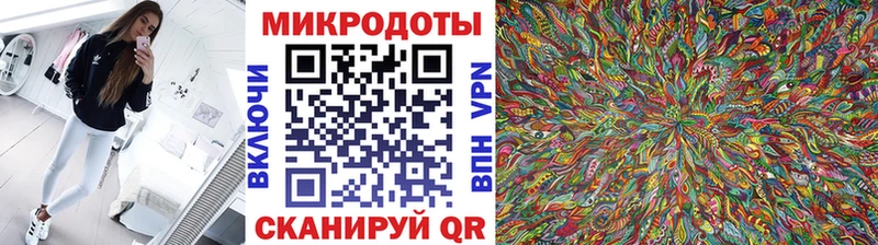 Галлюциногенные грибы прущие грибы Кимовск